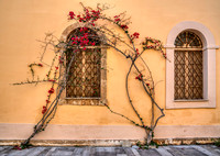 _DSC3457-Edit