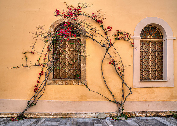 _DSC3457-Edit