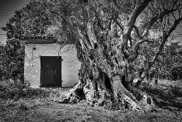 _P1M2728-Edit-Edit