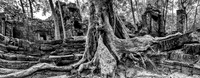 _DSC20860-Pano-Edit-Edit-2