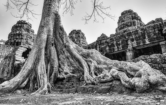 _DSC21449-Edit-Edit