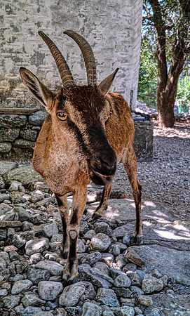 _P1M2713-Edit