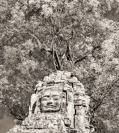_DSC21985-Pano-Edit-Edit-2