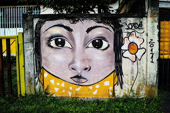 Street Art DP2-64