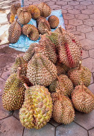 _DSC23790-Edit