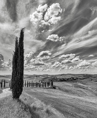_DSC1189-Pano-Edit-1bw