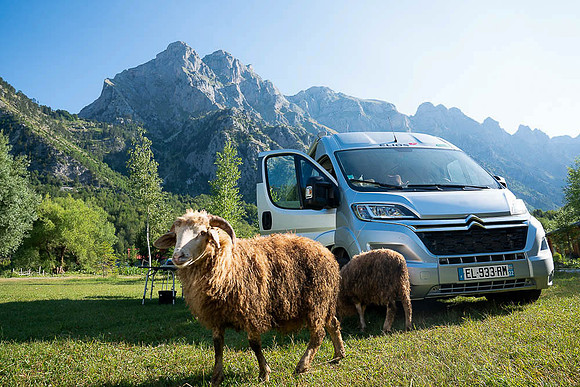 _DSC7942