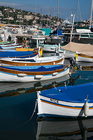 _DSC12562