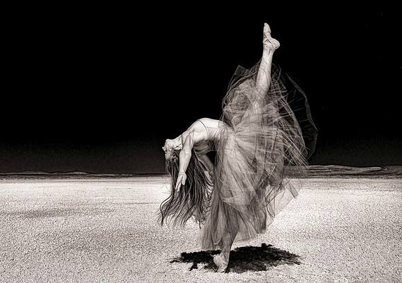lifted elegance