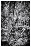 _DSC20891-Edit-Edit