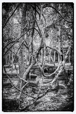 _DSC20891-Edit-Edit