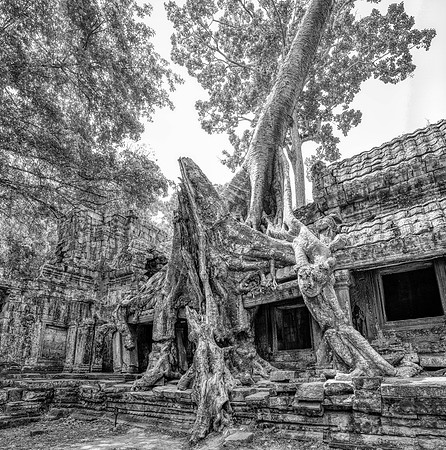 _DSC21552-Pano-Edit-Edit