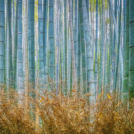Bamboo Blues