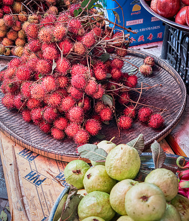 _DSC23789-Edit
