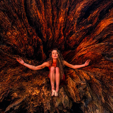 Inside the Womb