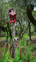 DSC02986-Edit
