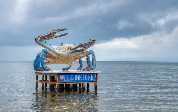 _DSC23732-Edit