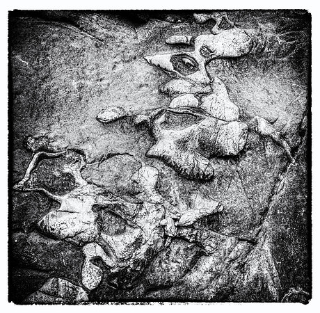 _DSC4558-Edit-Edit