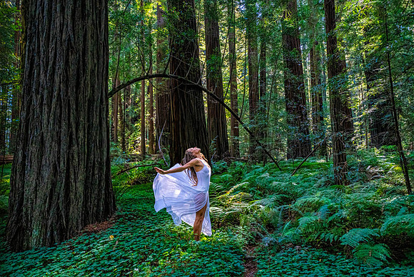 Forest Fairy