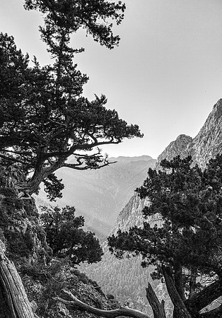 _P1M2690-Edit-2