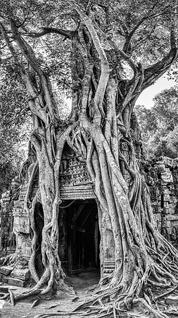 _DSC22006-Pano-Edit-Edit
