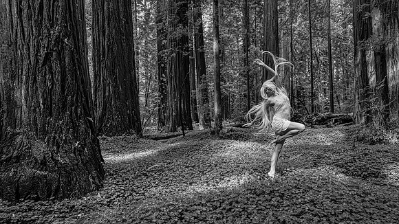 Wild Woman Wilderness