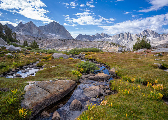 _DSC1261-Edit