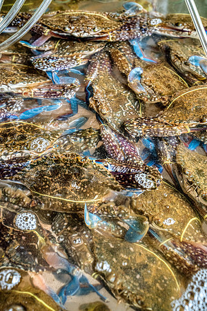 _DSC23743-Edit