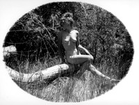 Victorian Lens