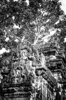 _DSC20912-Edit-Edit