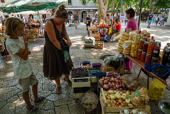 _DSC8776