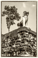 _DSC20971-Edit-2