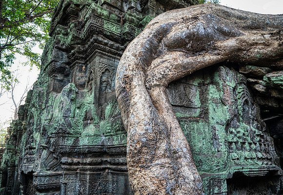 _DSC22132-Edit