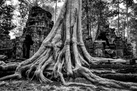 _DSC20878-Edit-Edit