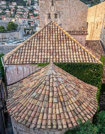 _DSC8549-Edit