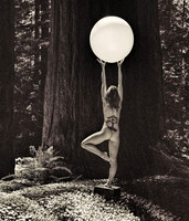 Art Deco Woods