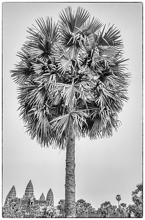 _DSC21215-Edit-Edit