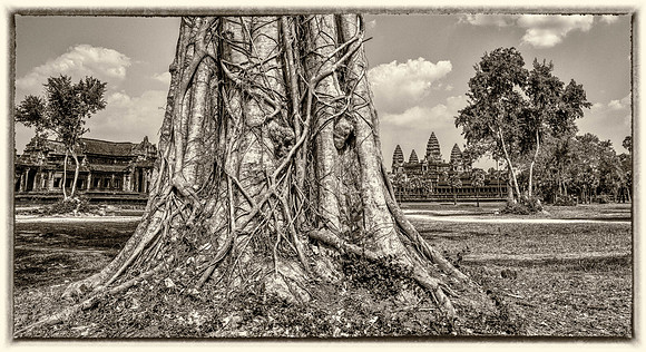 _DSC21110-Edit-Edit-Edit-Edit-Edit