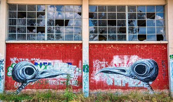 _DSC3433-Edit