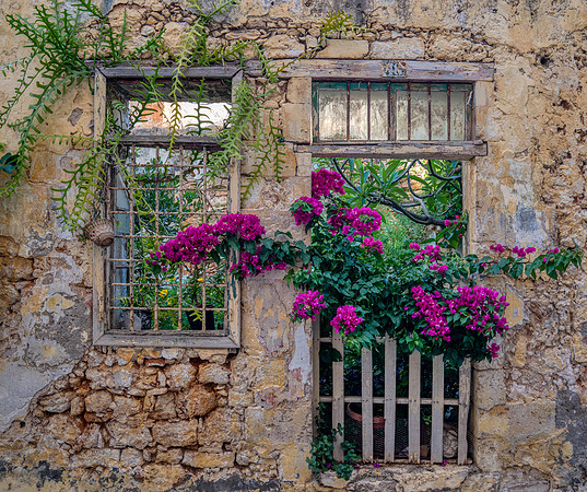 _DSC4654-Edit